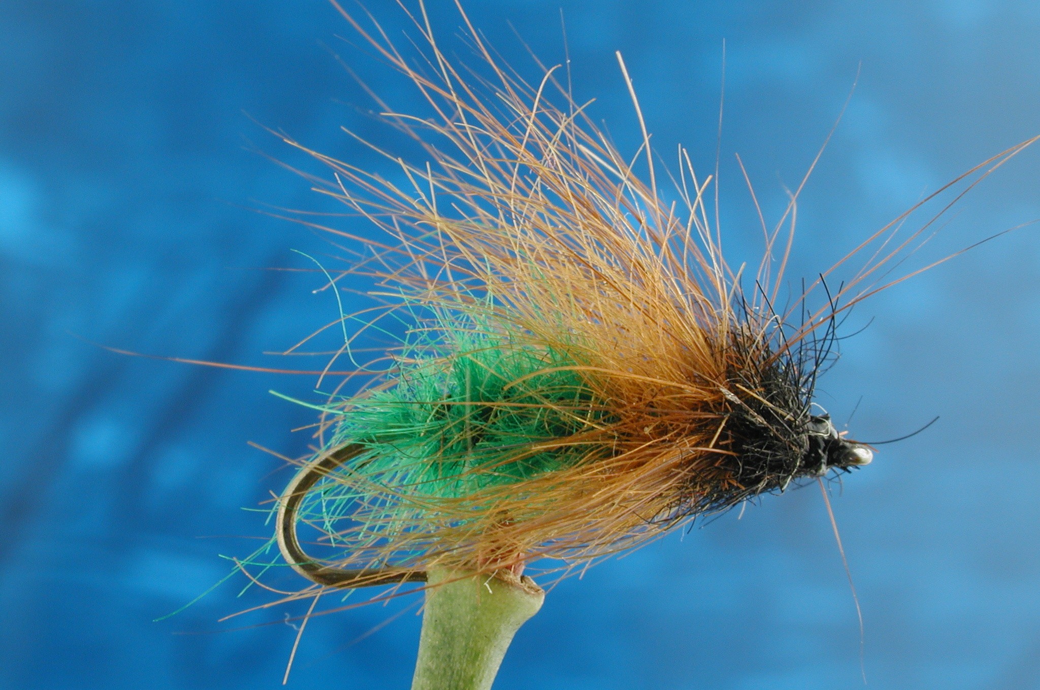 Hairy Green Caddis Larva Fly Fishing Flies with Fish4Flies Worldwide
